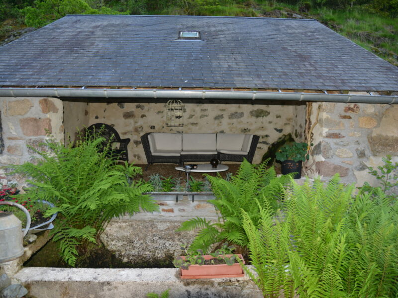 DSC_5500 copie 2